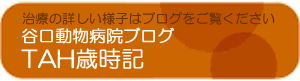 谷口動物病院ブログ：TAH歳時記