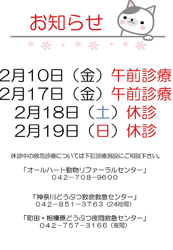 かみなり【新品未使用】犬と猫の聴診ガイド 音声とビジュアルで学ぶ 犬と猫の聴診ガイド 株式会社 緑書房