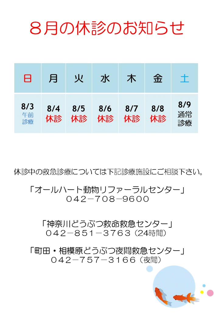 夏季休暇