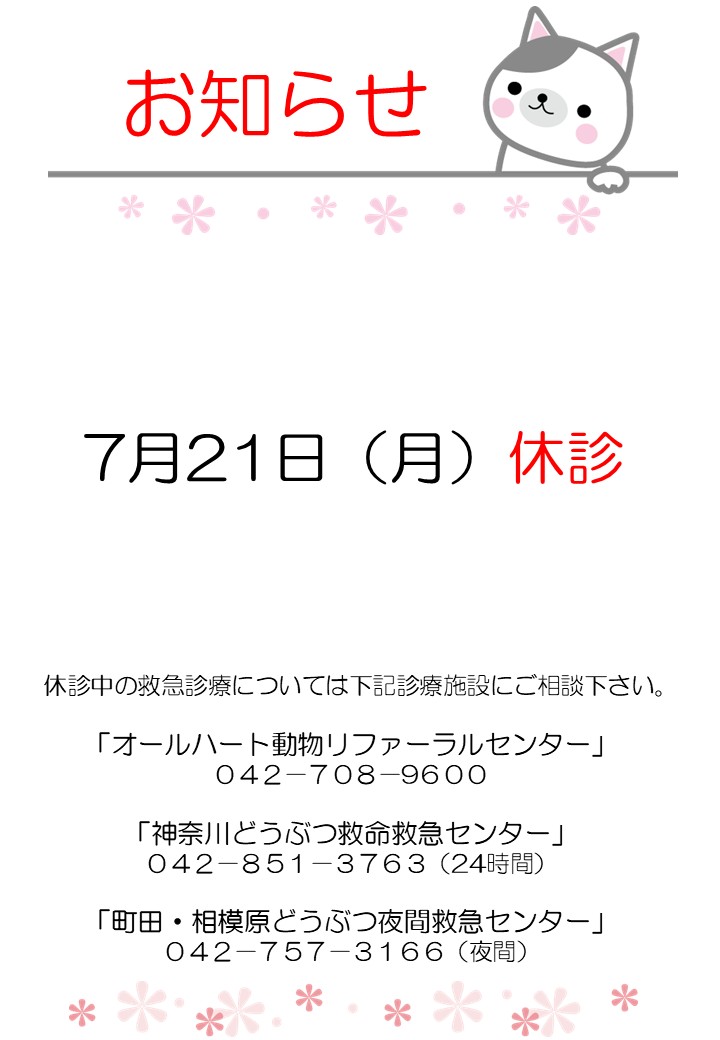 お知らせ　7月21日（月）休診