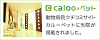 calooペット