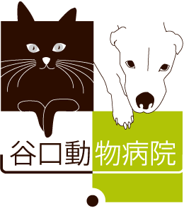 谷口動物病院（町田市・相模原市）